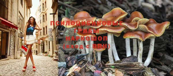 спайс Верхний Тагил