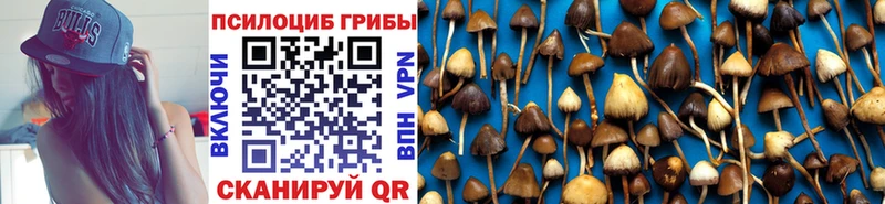 omg сайт  как найти   сайты даркнета какой сайт  Галлюциногенные грибы MAGIC MUSHROOMS  Каменск-Шахтинский 